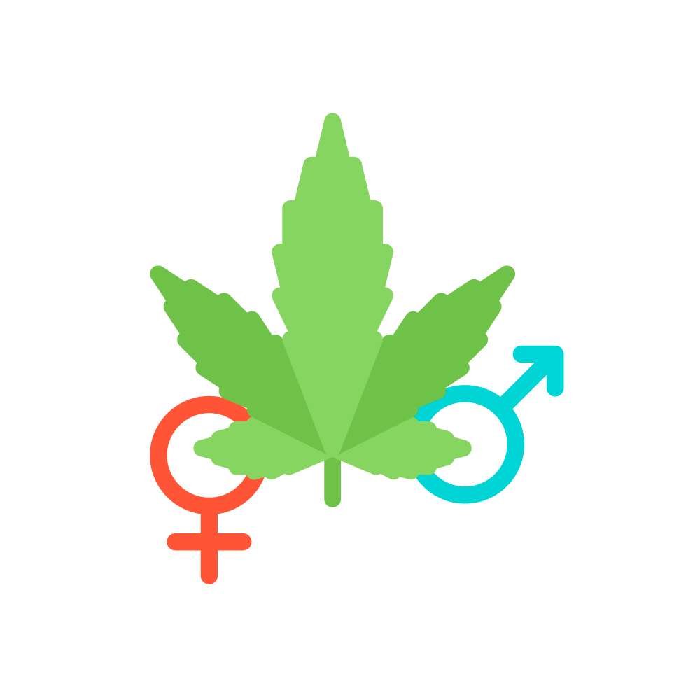 как правильно хранить семена канабиса