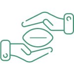 как купить семена