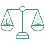 заказать семена из голландии