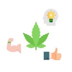 фотопериодные семена конопли