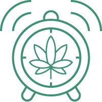 выращивание гидропоинки