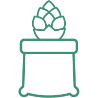 температура выращивания