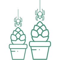 купить семена марихуаны