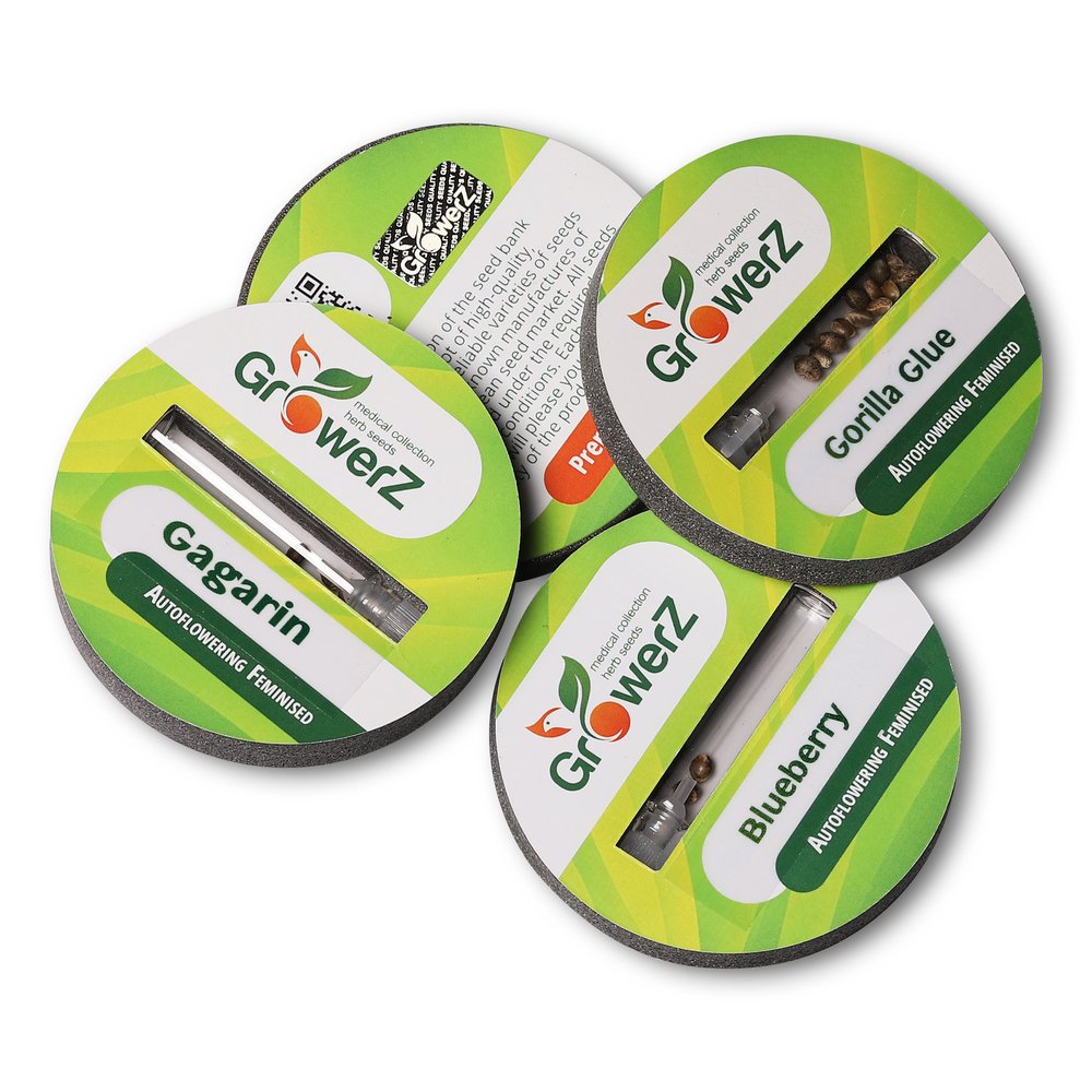 Семена конопли сорта Cheese Auto Fem. Семена конопли сорта Cheese Auto Fem.