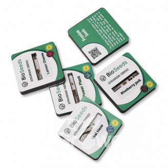 Семена конопли сорта Dos-Wi-Dos Auto Fem. Семена конопли сорта Dos-Wi-Dos Auto Fem.