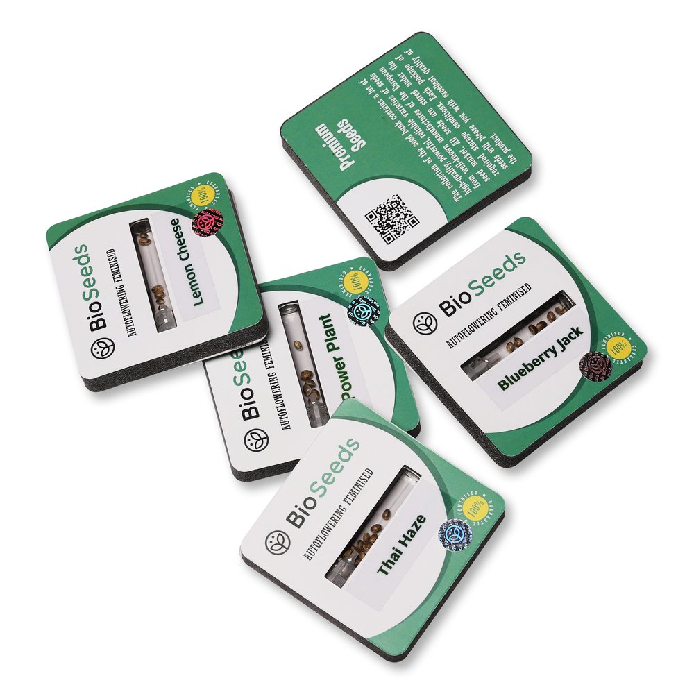 Семена конопли сорта Easy Sativa Auto Fem. Семена конопли сорта Easy Sativa Auto Fem.