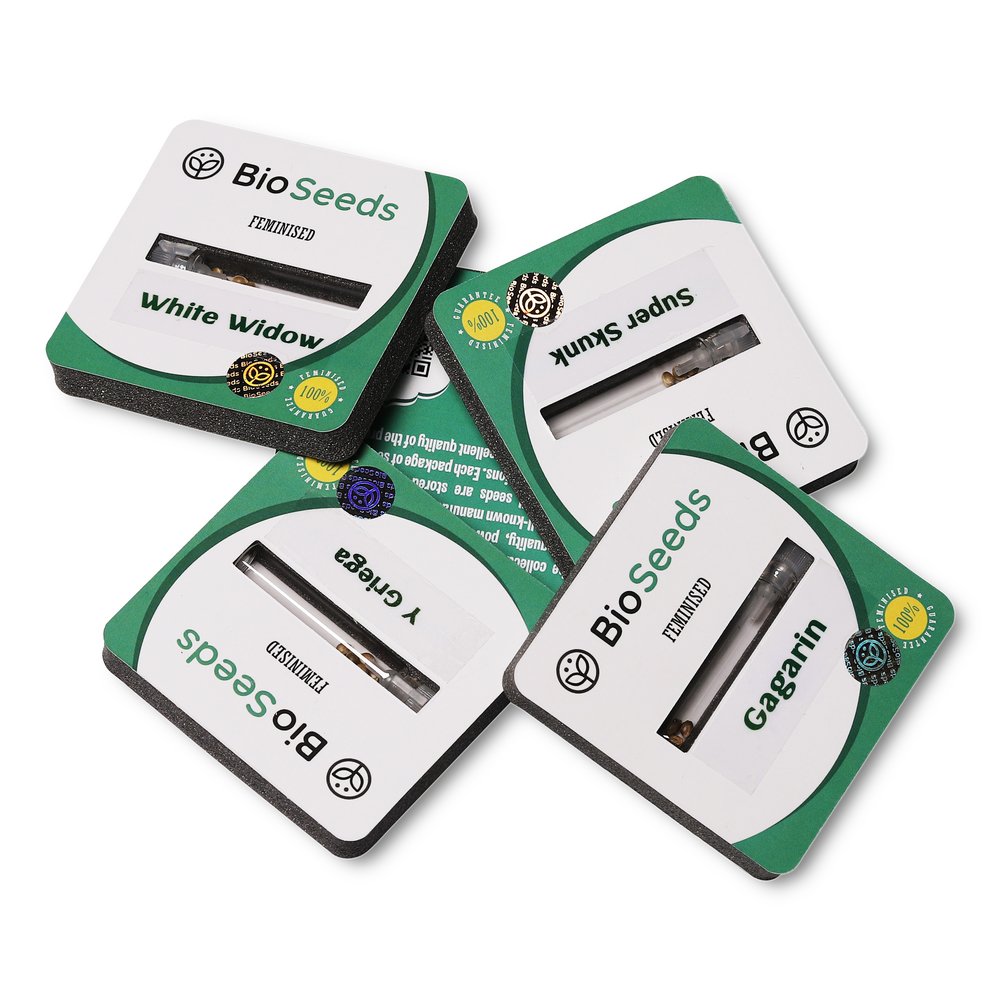 Семена конопли сорта White Widow Fem. Семена конопли сорта White Widow Fem.