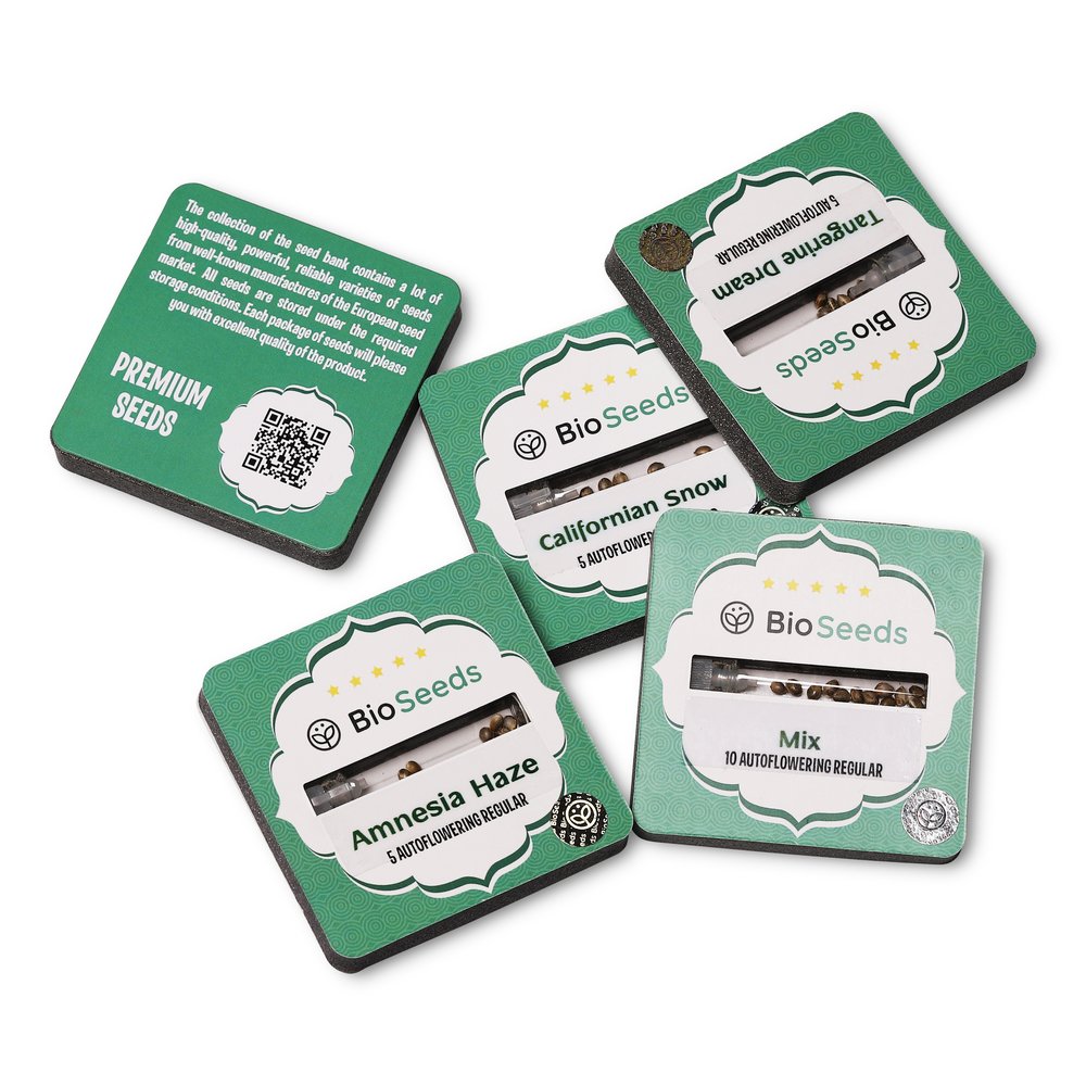 Семена конопли сорта Amnesia Haze Auto Reg. Семена конопли сорта Amnesia Haze Auto Reg.