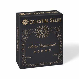 Семена конопли сорта Medusa Auto Fem. Семена конопли сорта Medusa Auto Fem.